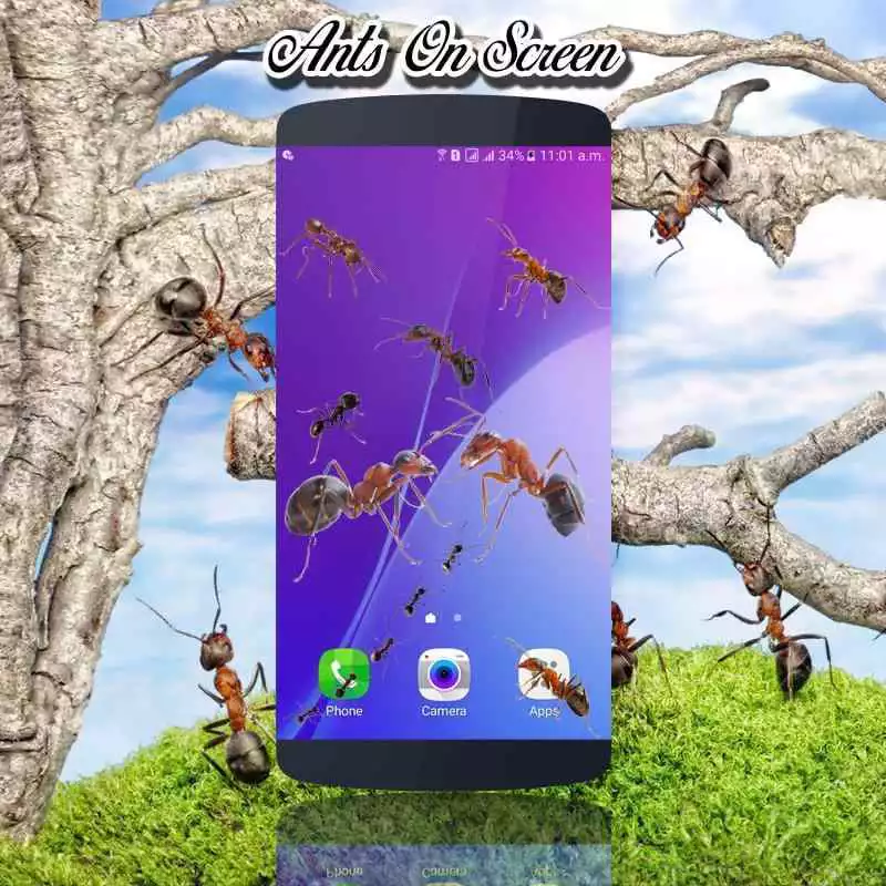 Play Ants on screen | Prank app